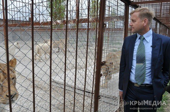В Крым везут трех ягуаров и 50 обезьян из Европы