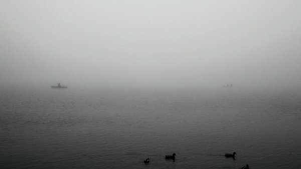 Ночью на переправе в Керчи ожидается туман