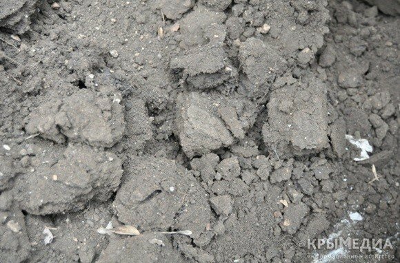 В Крыму выявили более 80 тыс. га пустующих сельхозземель