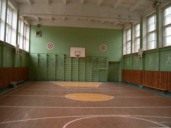 Премьер предложил отдать спортзалы школ Крыма в не учебное время спортивным ...