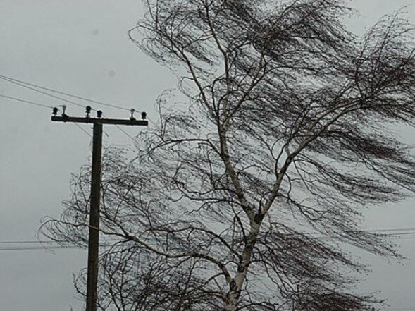 Сильный ветер оставил без электроэнергии около 10,8 тысяч крымчан