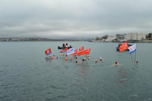 Моржи устроили заплыв в Севастополе