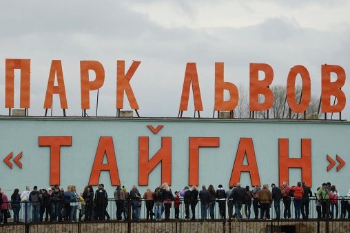 «Тайган» и «Сказка» могут никогда не открыться