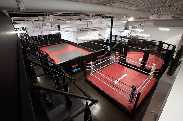 Сеть фитнес-клубов смешанных боевых искусств MMA "UFC Gym" в России откроют РФПИ и World Class